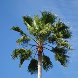 Meet your Posher, Bryan